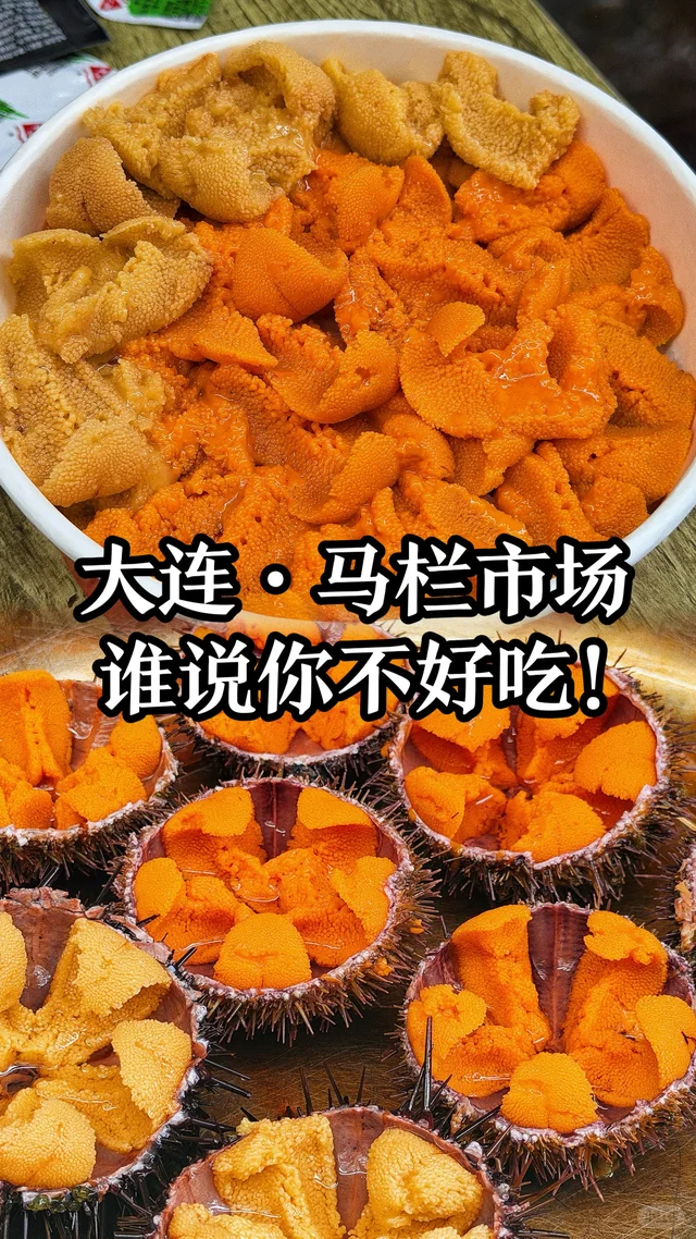 马栏市场海胆